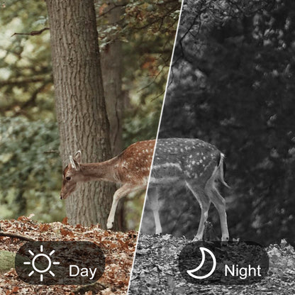 4K FHD Night Vision Binoculars With 5X Magnification 600 Meters Range Infrared Camera Easy to Carry ODM Customized Support